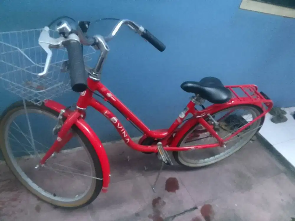 Dijual Sepeda Polygon Lovina 24