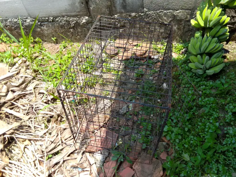 Kandang besi dan tas ransel