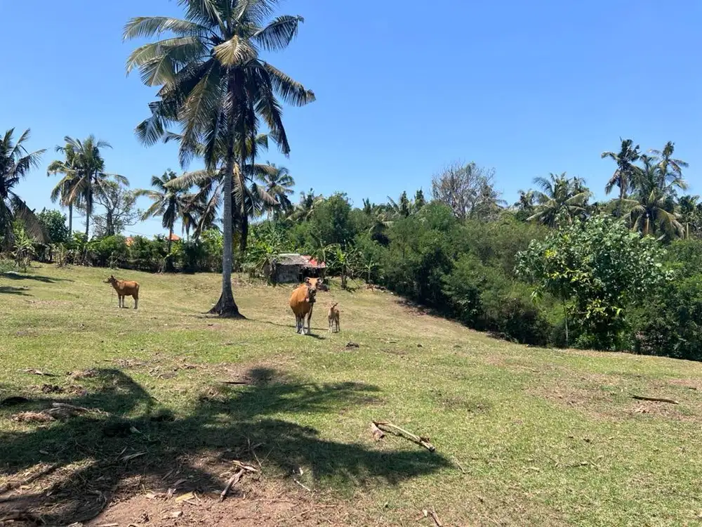 Tanah luasan kecil dekat pantai balean tabanan bali.