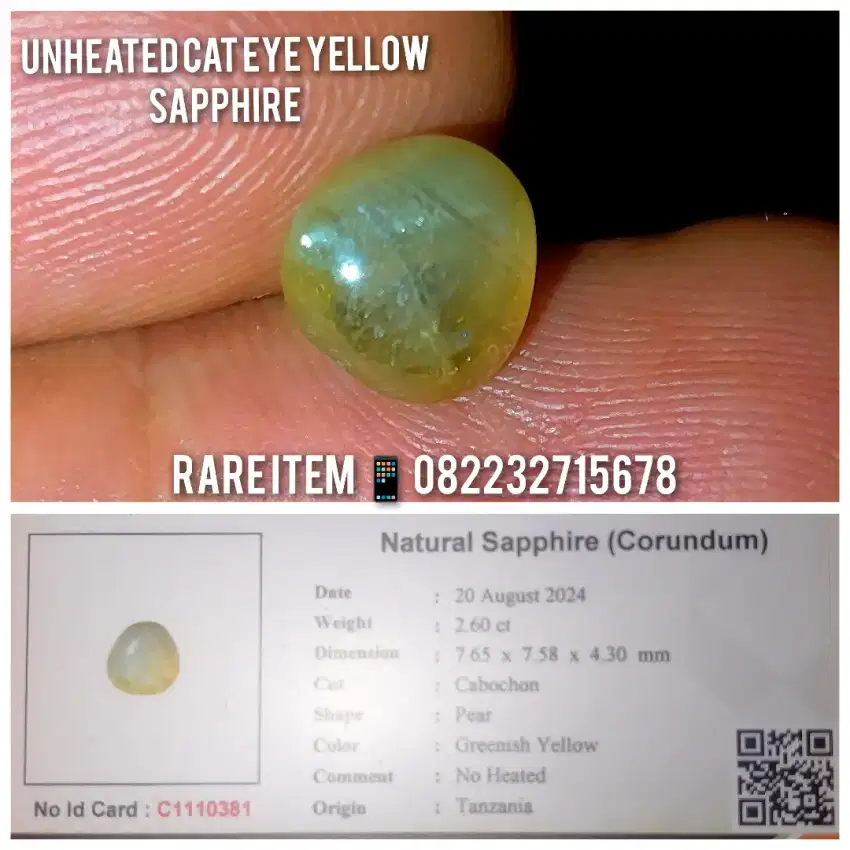 UNtreated Cat eye yellow sapphire 2.60ct