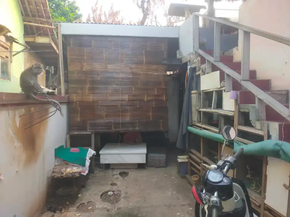 Krey tirai bambu Wulung