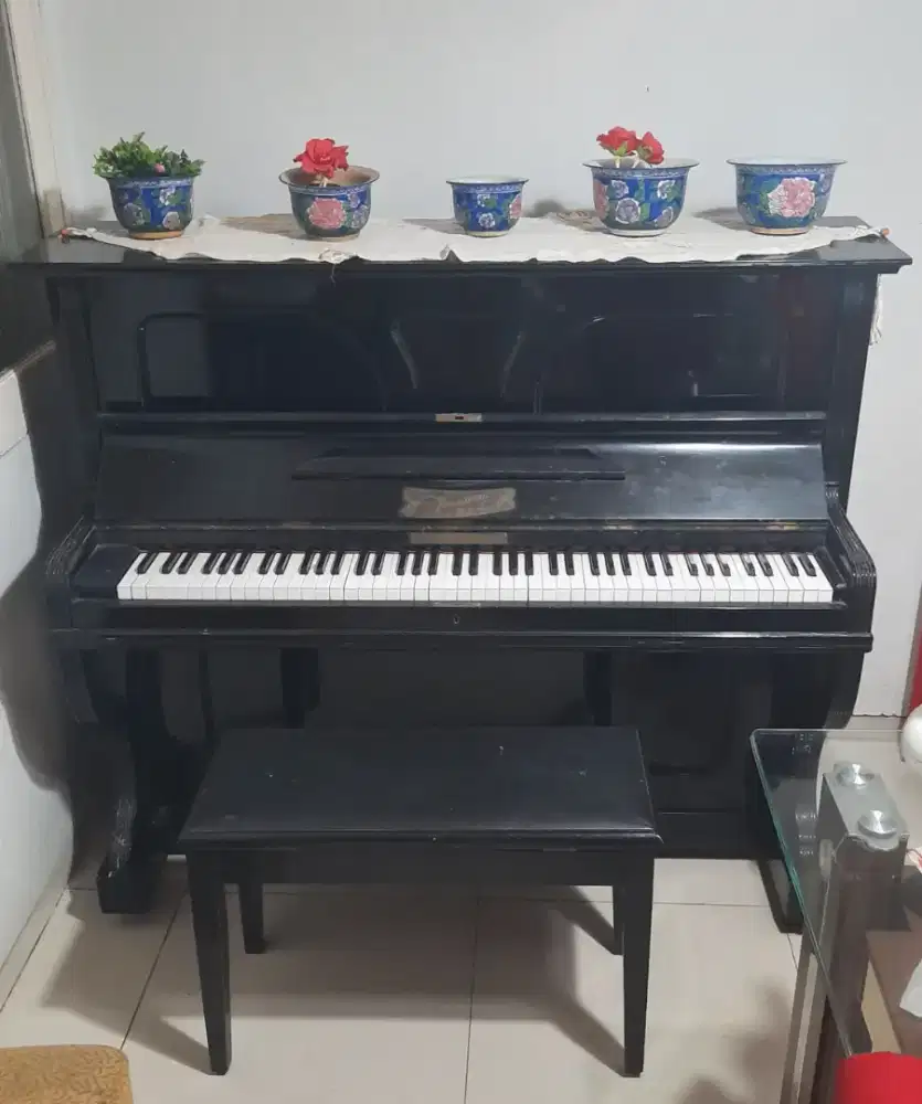 Piano klasik W Naessens & co