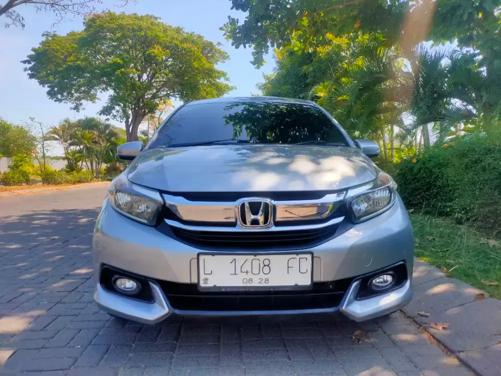 MOBILIO E MANUAL 2018
