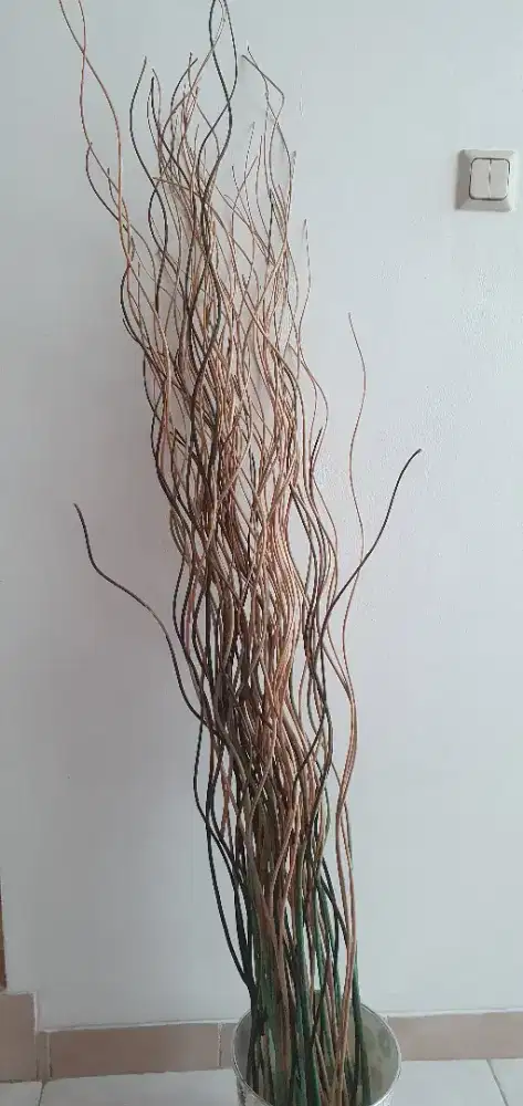 POHON RANTING ARTIFICIAL