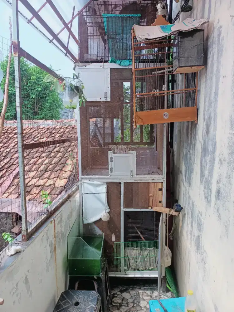 Kandang lipat,bekas ternak murai