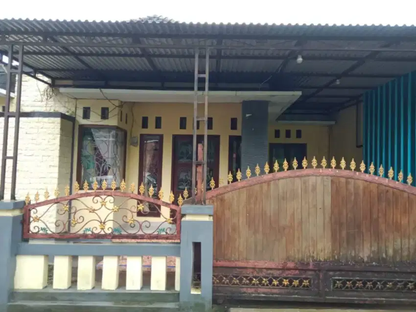 DI JUAL RUMAH MINIMALIS DI BEDUGUL , BALI