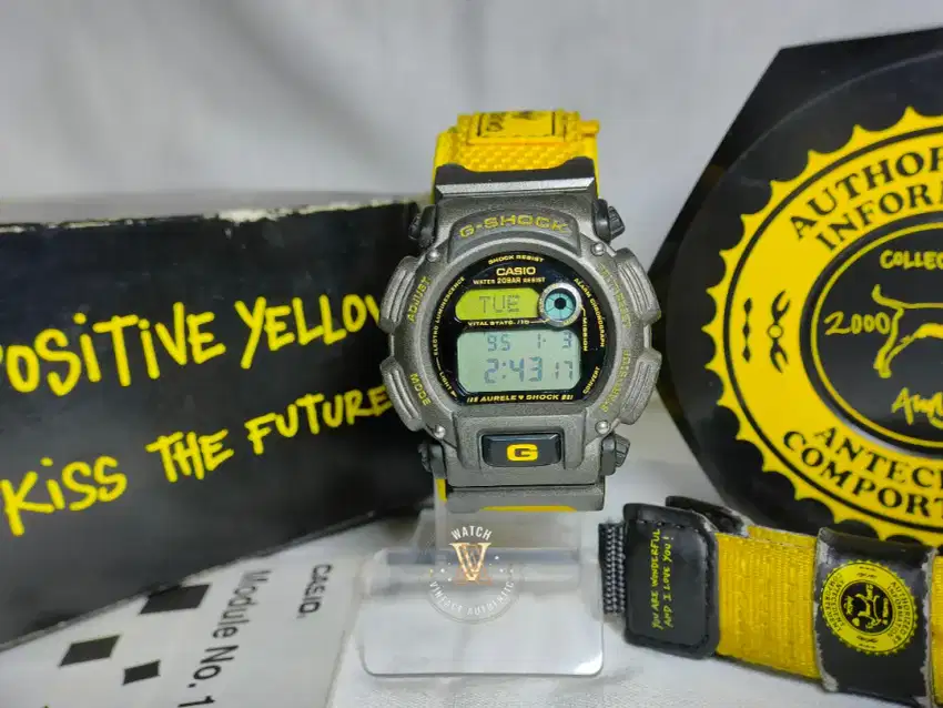 Gshock DW-8800AB-T x Agnes