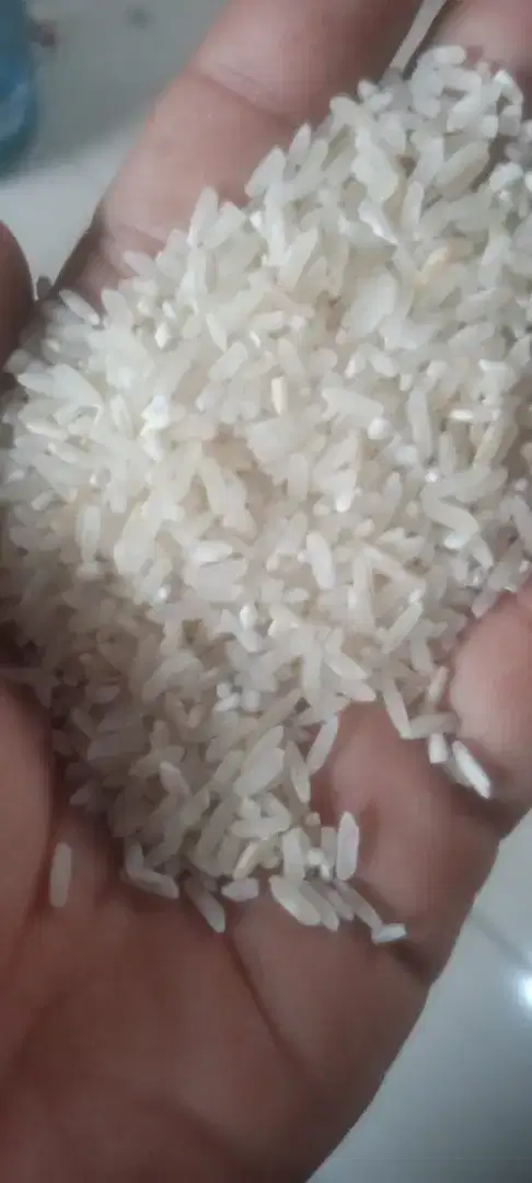 Beras Pulen Sedang