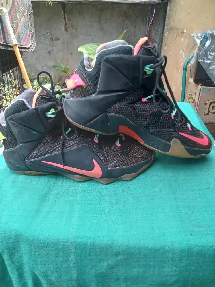 Nike lebron sz 44