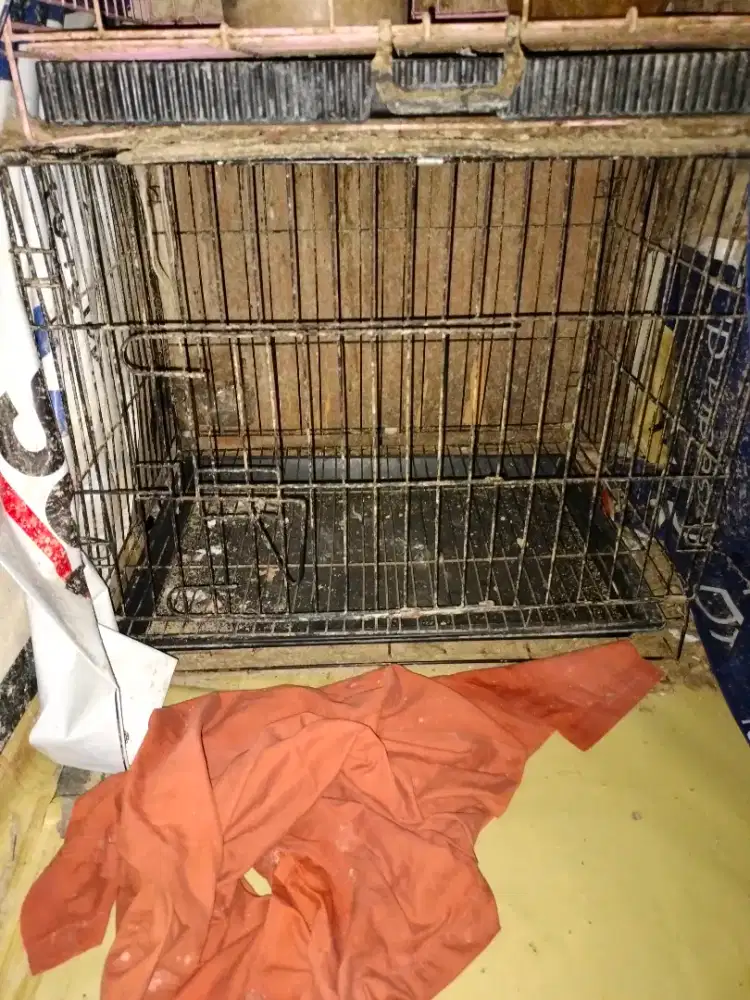 Kandang besi ukuran 60