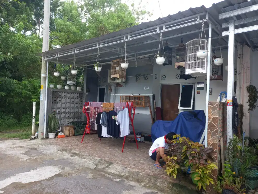 KONTRAKAN SAT SET LANGSUNG HUNI!!