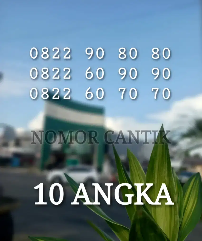 nomor cantik ibnu sina