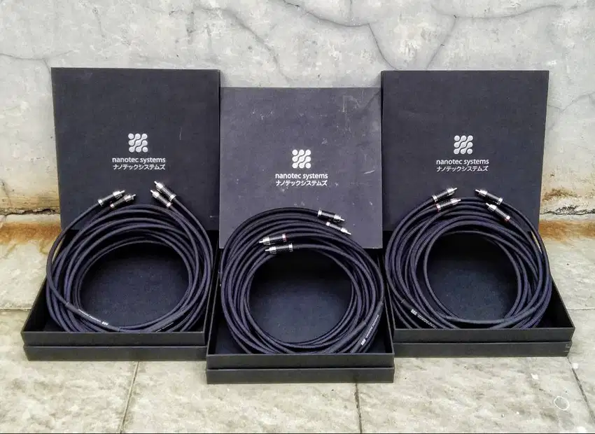 Nanotec System Inc