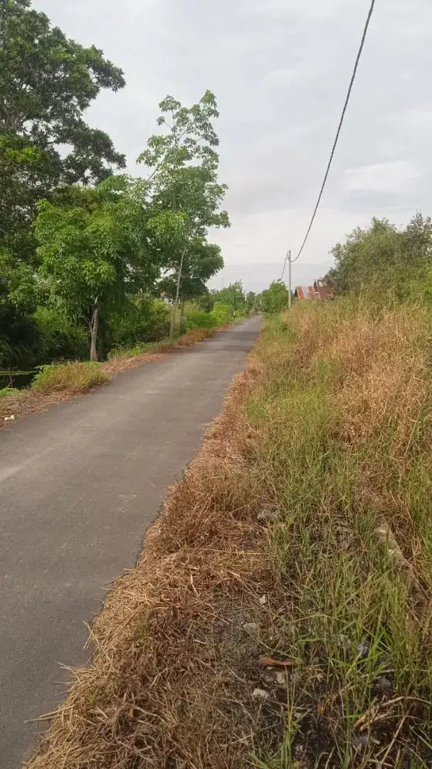 Tanah Kavling Siap Bangun jalan Aspal