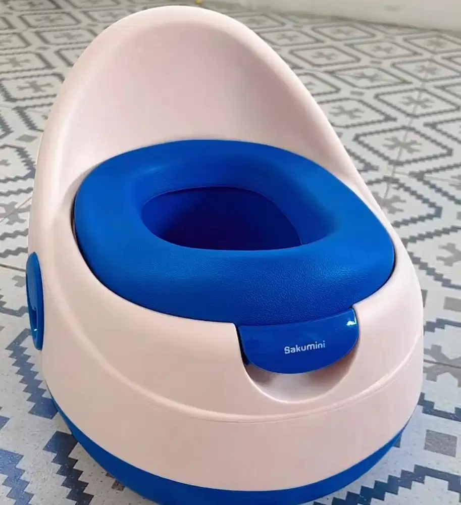 Potty Training untuk Toilet Training Anak