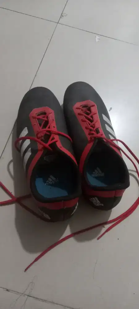 Sepatu bola predator adidas ukuran 39