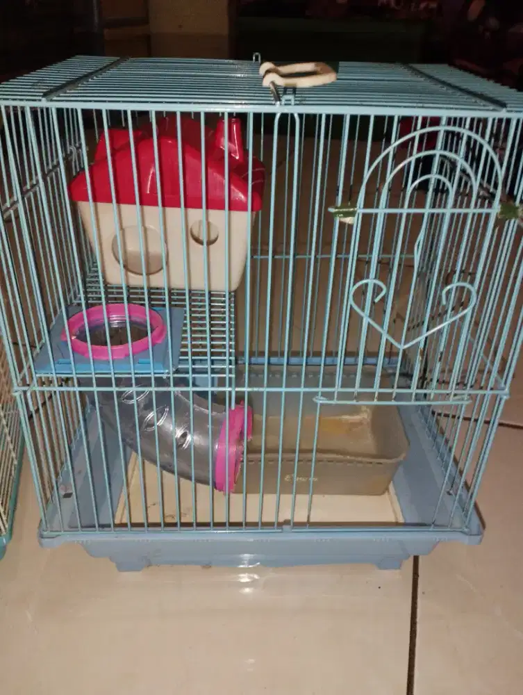 Kandang hamster