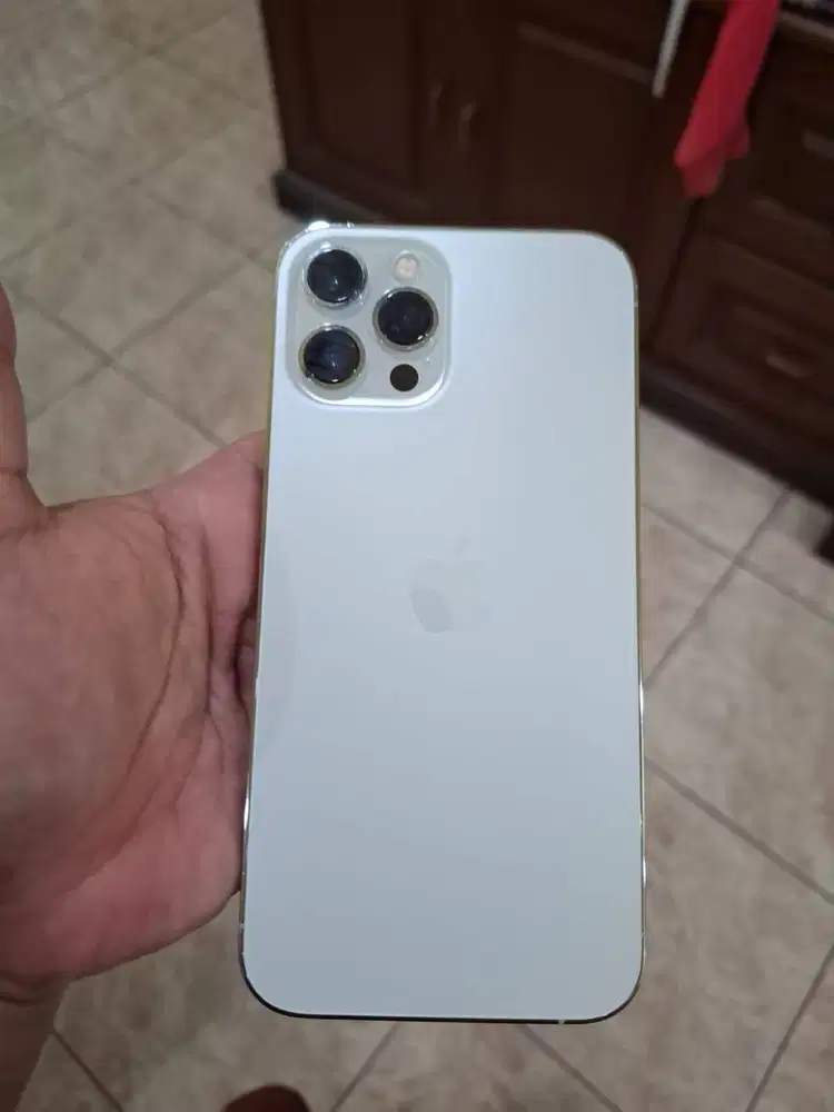 beli iphone 12 biasa pro atau promax eks pribadi