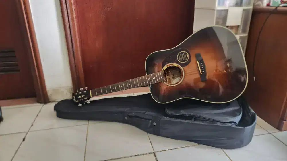 Gitar Acoustic Electric