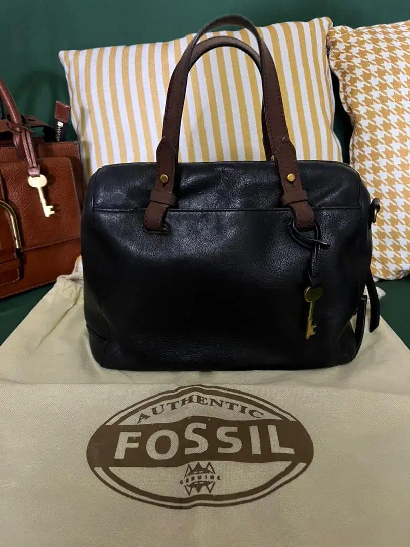 Tas fossil hitam