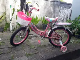 Dijual sepeda anak wanita 20 inch Evergreen