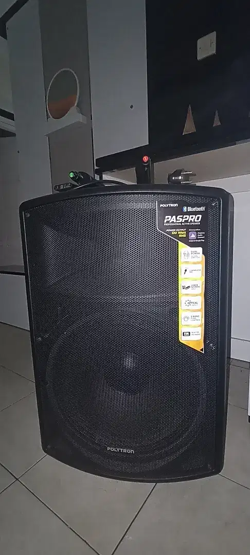 Speaker Polytron Paspro 15F3 BT