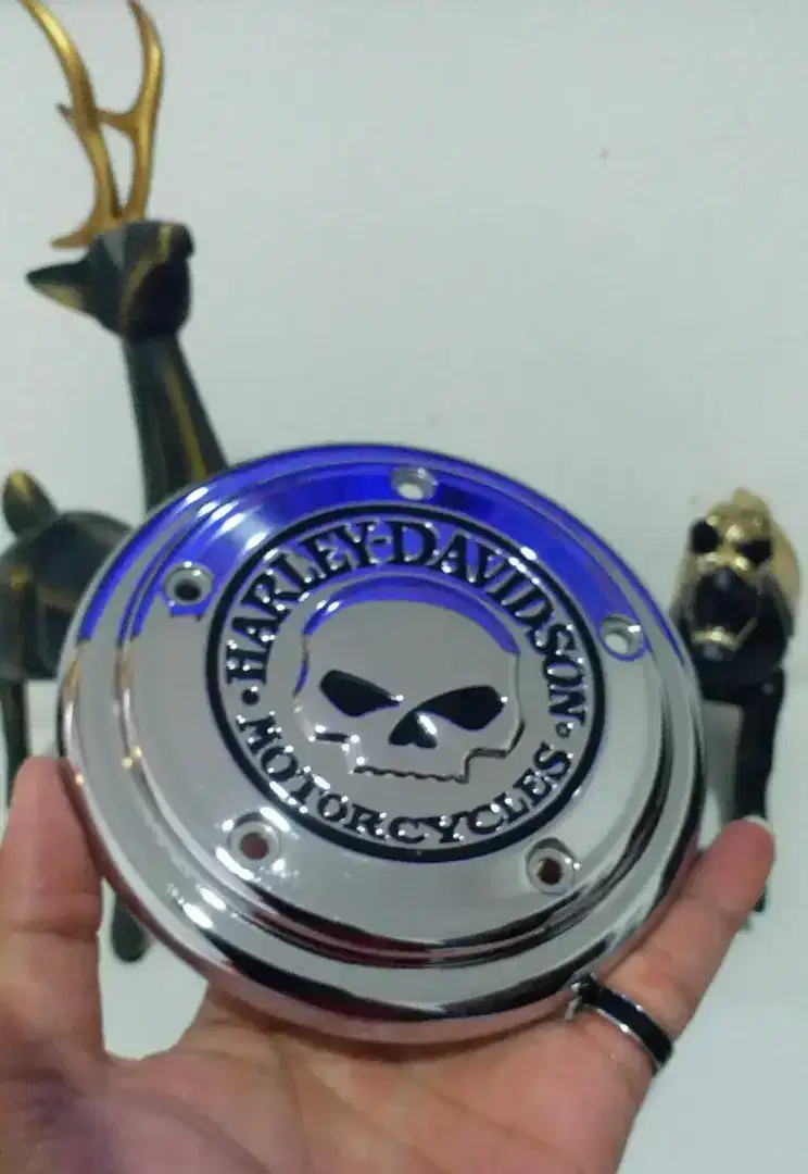 Skull Derby Cover Sportster