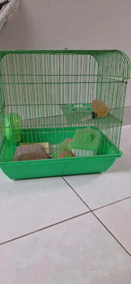 Kandang hamster masih bagus