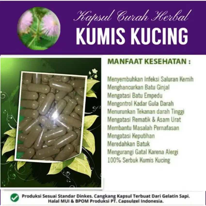 100 kapsul kumis kucing