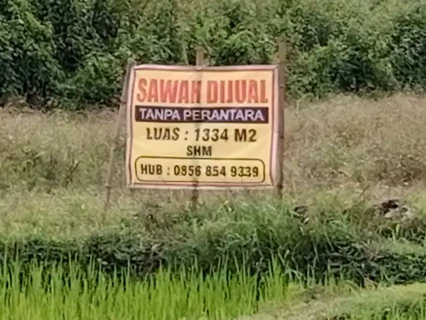 Tanah Strategis SHM Sawah Sleman Jogja