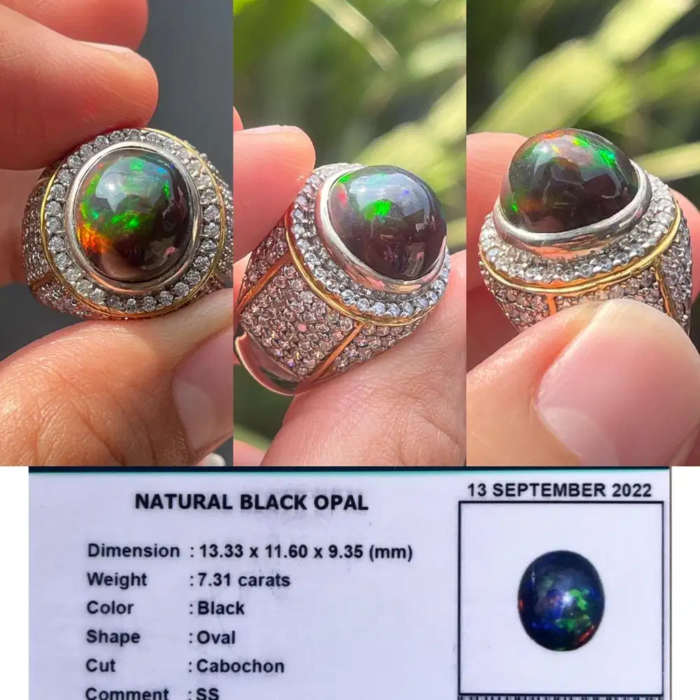 Natural Black Opal 7.31crt ethiopia memo mri lab