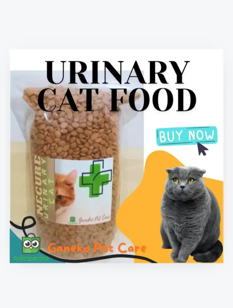 MAKANAN KUCING URINARY CAT CARE FOOD CATFOOD REPACK PERAWATAN GINJAL