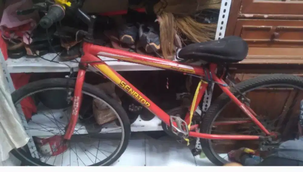 Jual aja sepeda Merk senator