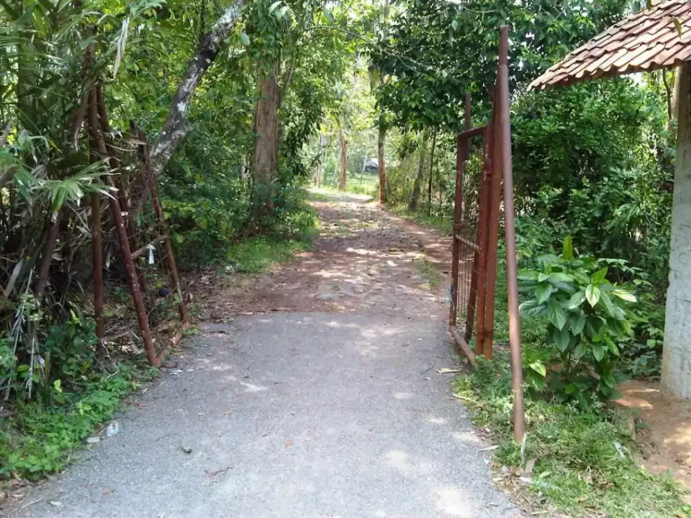 Dijual TANAH SHM 12 H cocok buat perumahan dekat sta Tenjo