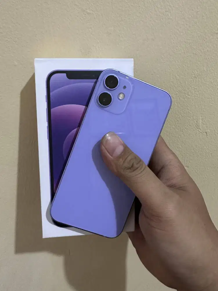 nerima iphone 12 biasa pro atau promax eks pribadi