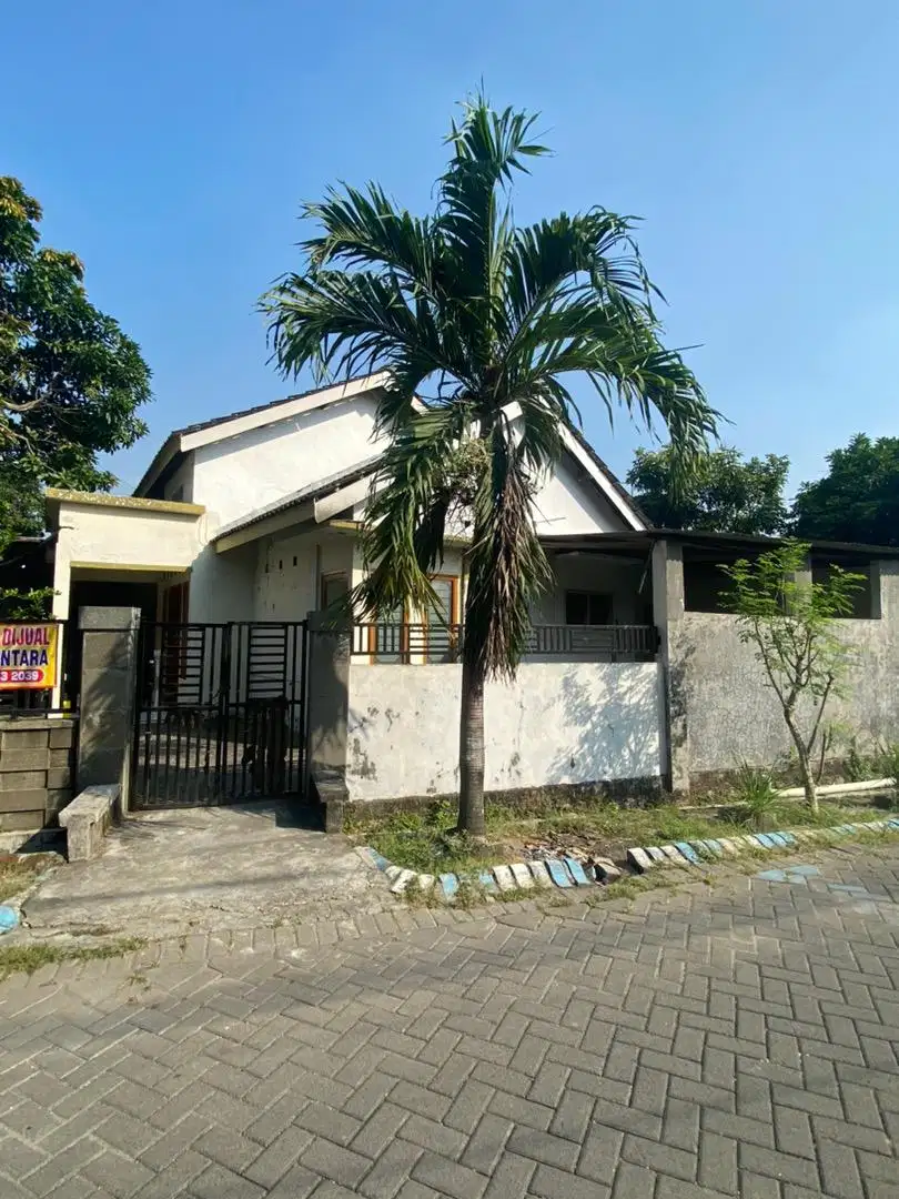 rumah pojok driyorejo