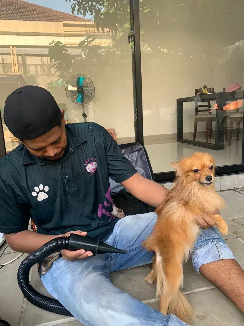 Grooming panggilan terdekat kucing dan anjing