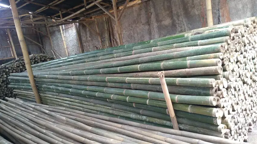 Jual bambu steger cod