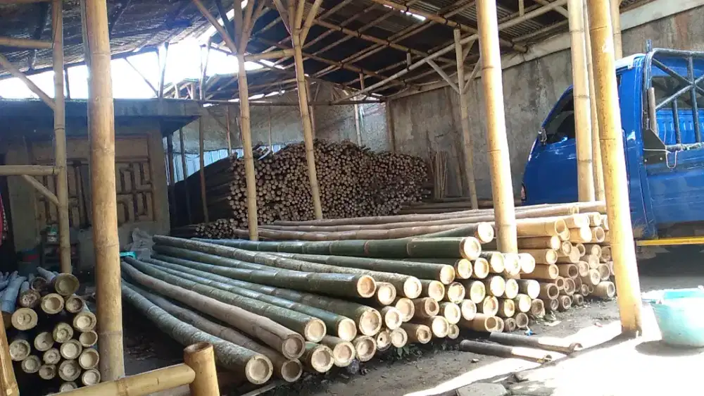 Jual bambu steger