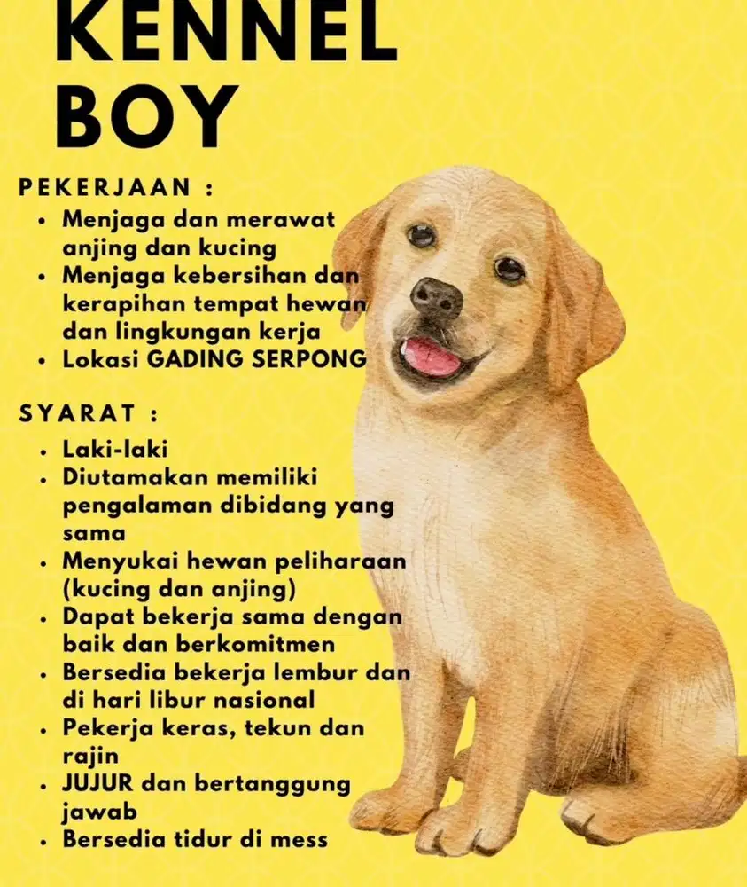 Dicari KENNEL BOY mengurus anjing dan kucing