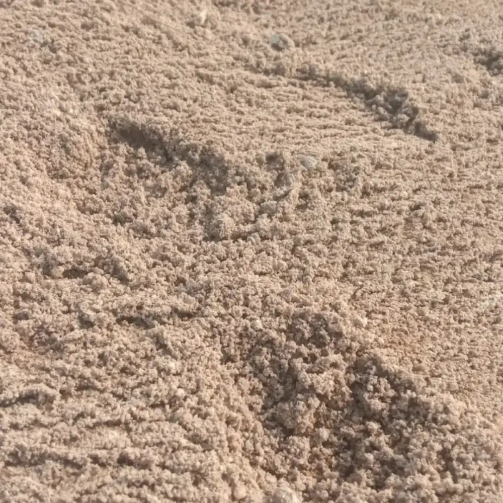 Pasir bangka. Rangkas dan hitam cor