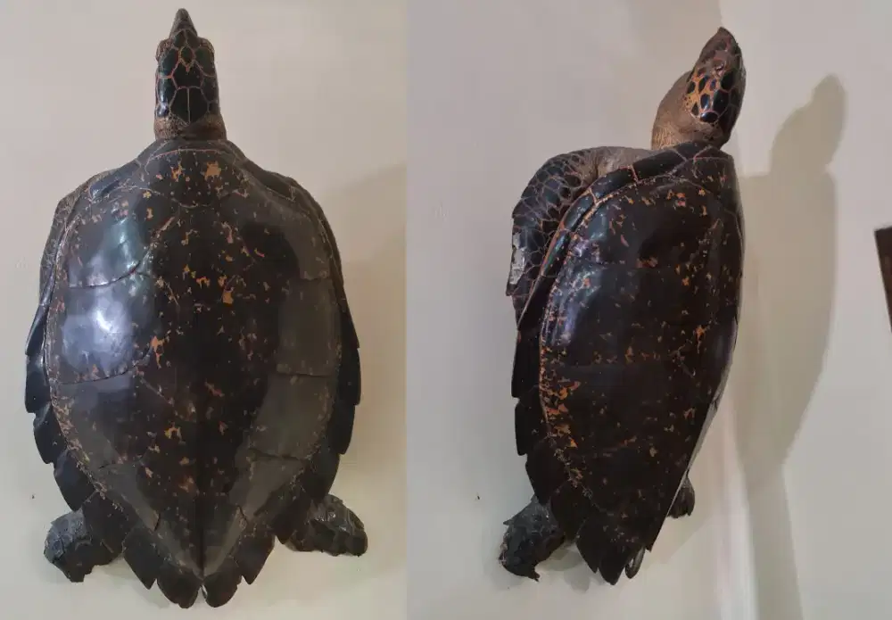 Patung Ukiran Kayu Motif Penyu Jadul Tua