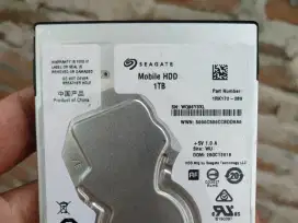 seagate 1 TB windows 10