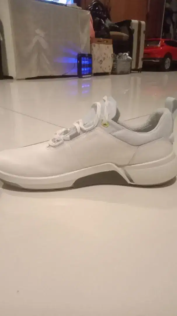 Sepatu Golf Ecco