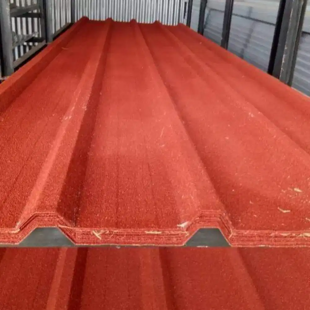 Baja ringan kanopi rumah minimalis