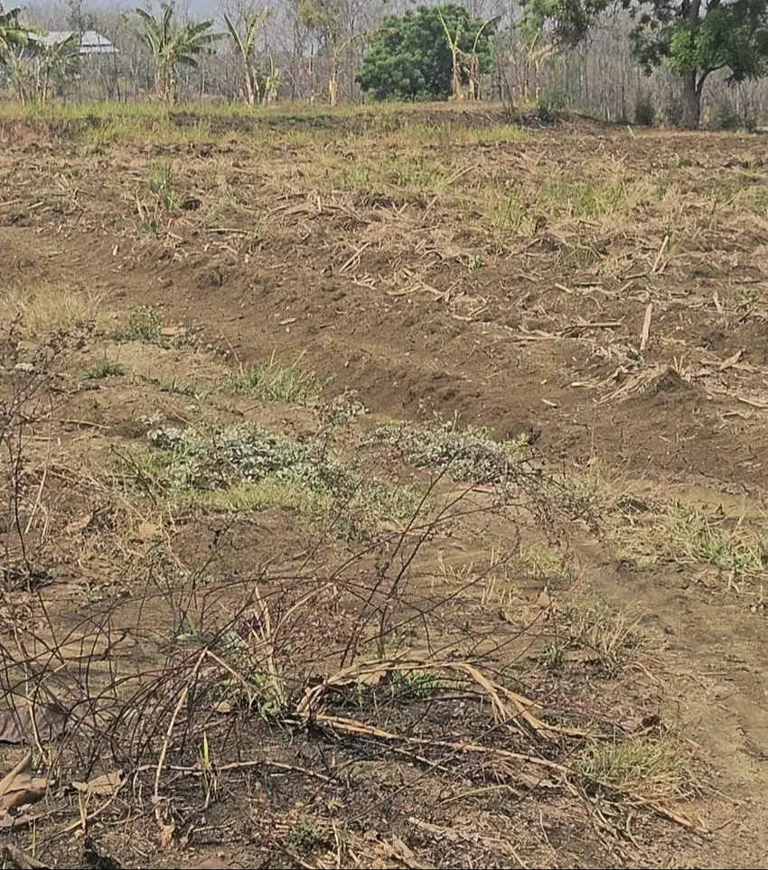 Dijual tanah sawah, lokasi dekat perumahan Grand Kedamean Regency