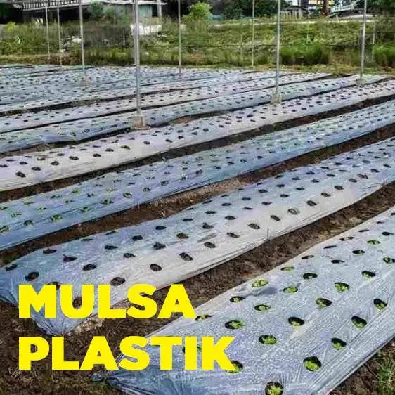 Mulsa Plastik Hitam Perak Lebar 120cm, Anti Gulma