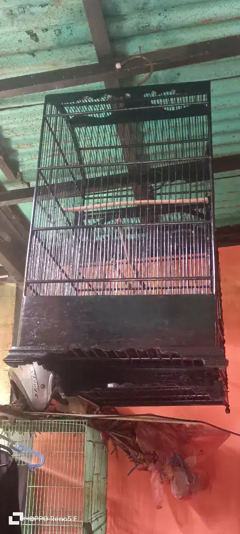 Dijual sangkar burung ukuran 40