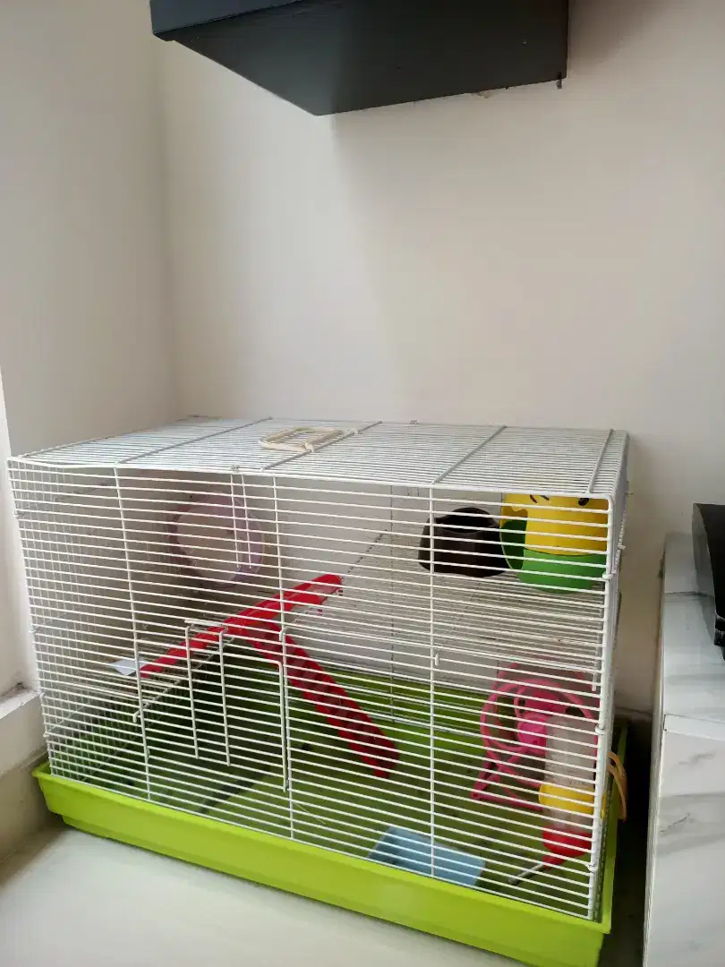 Rumah Hamster Bekas