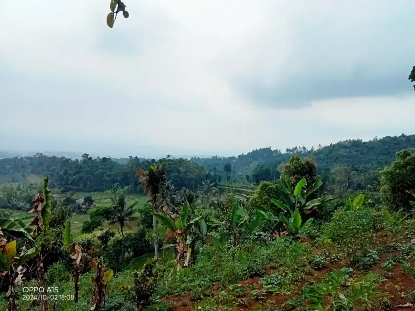 Dijual Bukit Cidahu di ketinggian 900mdpl